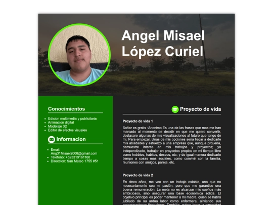 CURRICULUM/trabajo/curriculum screenshot