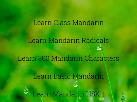 languages screenshot