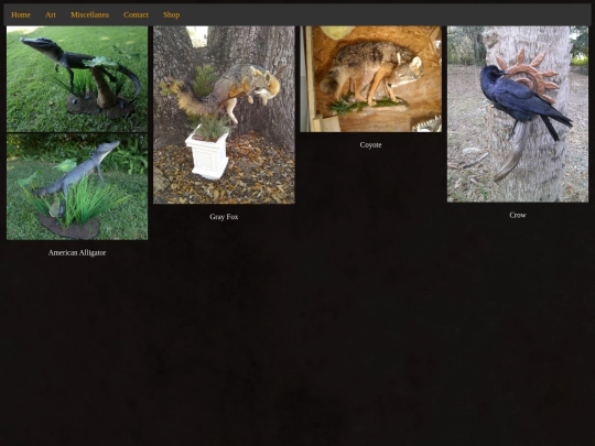 Taxidermy screenshot