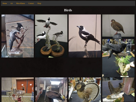 TravelLog/wts2019Birds screenshot
