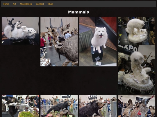 TravelLog/wts2019Mammals screenshot