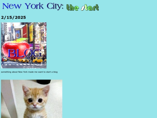 nyc screenshot