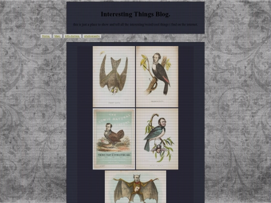 InterestingThingsBlog screenshot