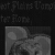 greatplainsvampire.neocities.org avatar