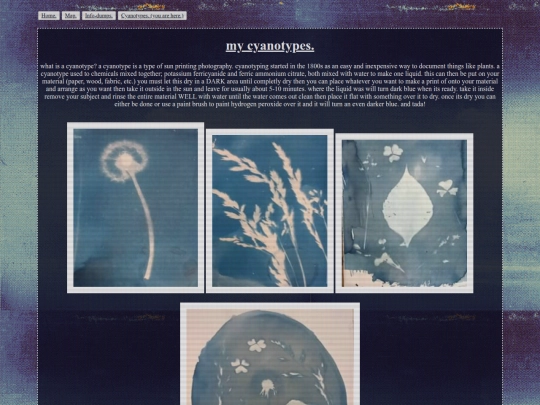 photography_stuff/cyanotypes screenshot