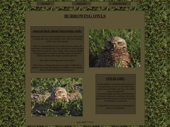 shrines/burrowingOwls screenshot