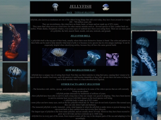 shrines/newJellyfish screenshot