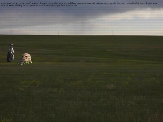 shrines/prairehomepage screenshot