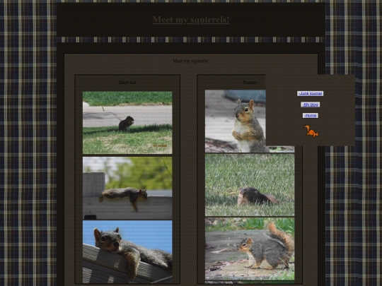 squirrels screenshot