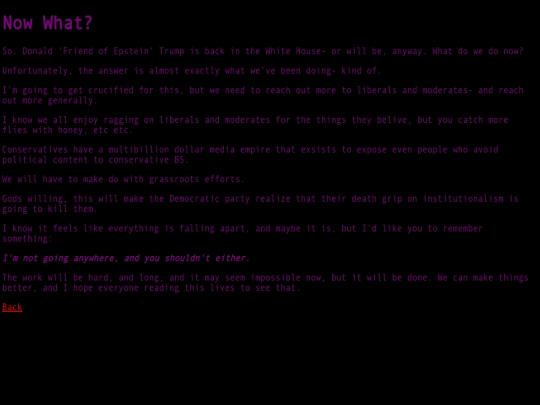 blogs/election2024 screenshot