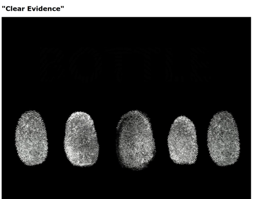 clearevidence screenshot