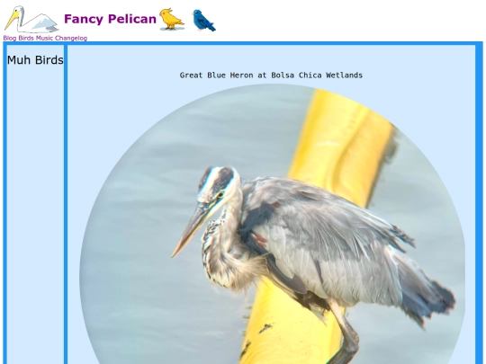 birds screenshot