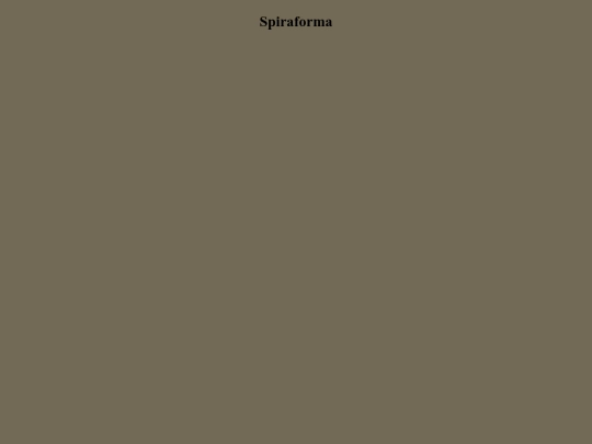 Stranavioly/Spirits/Pnevsoma/Spiraforma/Spiraforma screenshot