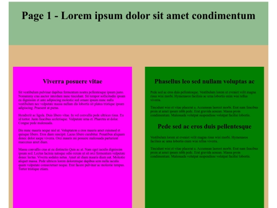 2 - DivsInternalStyleSheet screenshot