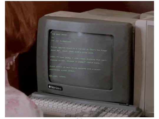 NarrativeFilms/bratsnack/script screenshot