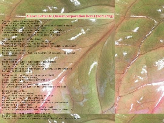 poetry&writings/rottingpoems/2025 screenshot