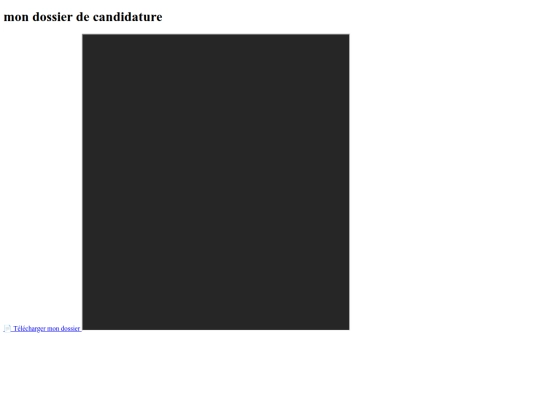 page 2/candidature screenshot