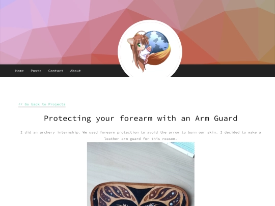 projects/2019/09/01/arm_guard screenshot