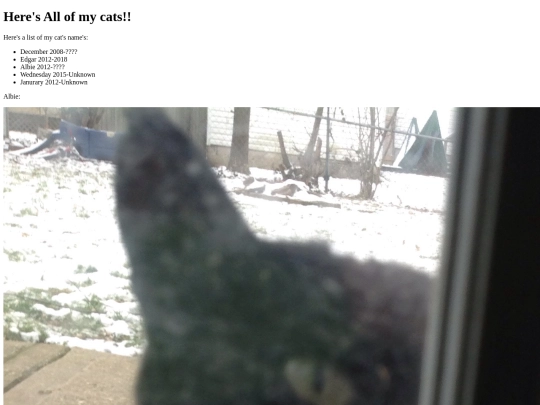 MyCats screenshot