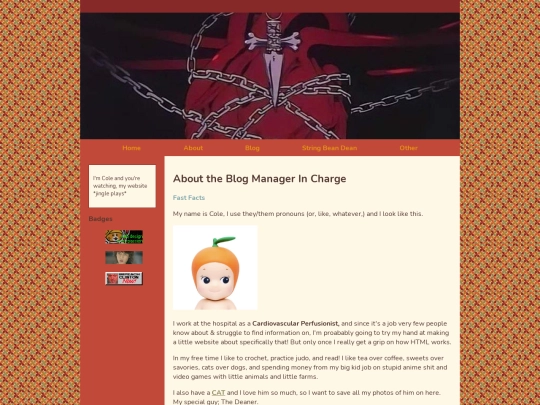 about/bio screenshot
