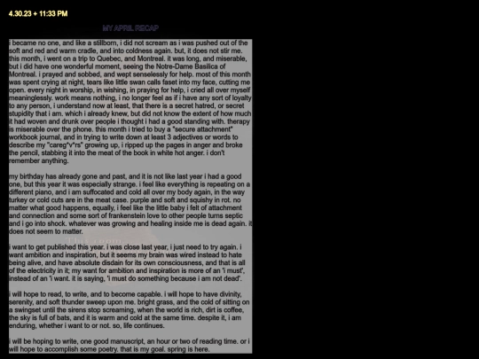 diarypagesapr24 screenshot