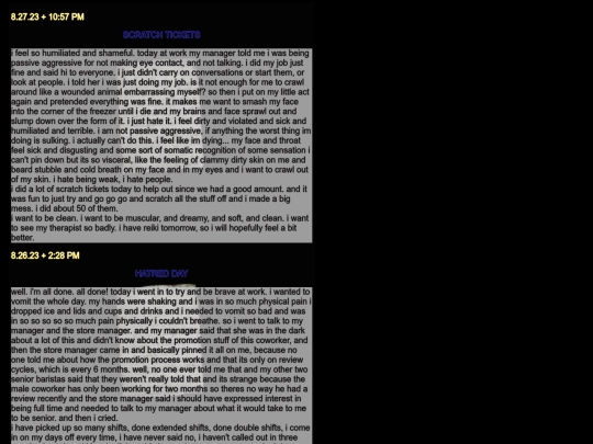 diarypagesaug screenshot