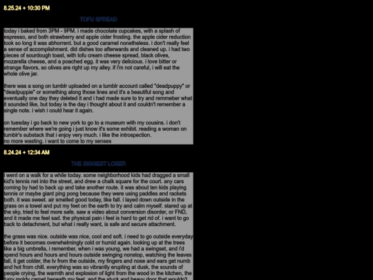 diarypagesaug24 screenshot