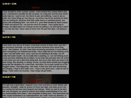 diarypagesdec screenshot