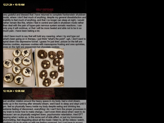 diarypagesdec24 screenshot