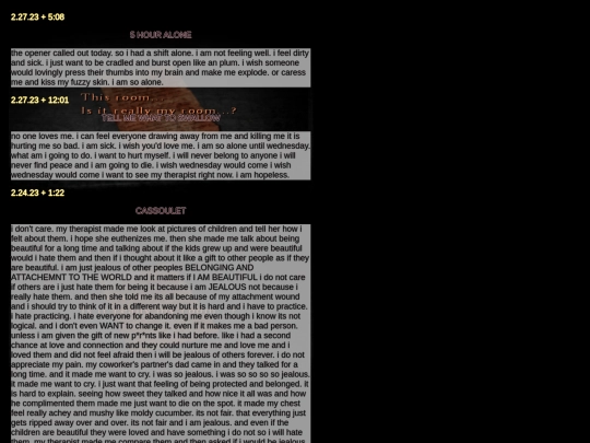 diarypagesfeb screenshot