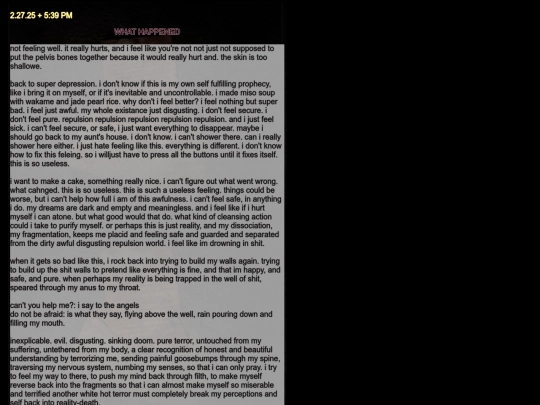 diarypagesfeb25 screenshot