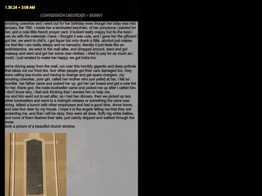diarypagesjan24 screenshot