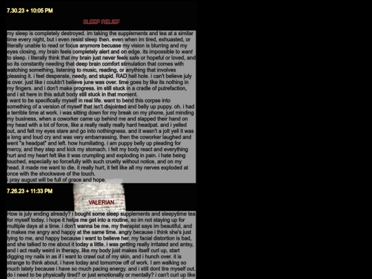 diarypagesjul screenshot