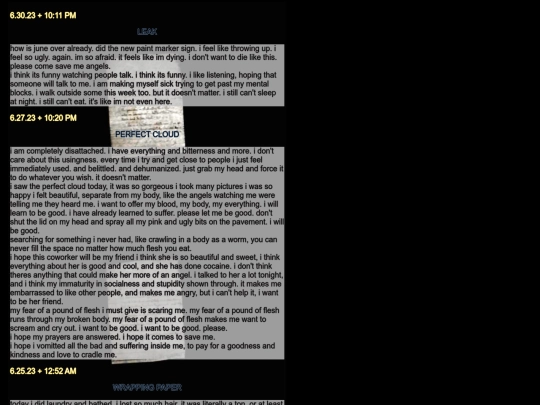 diarypagesjun screenshot