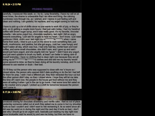 diarypagesjun24 screenshot