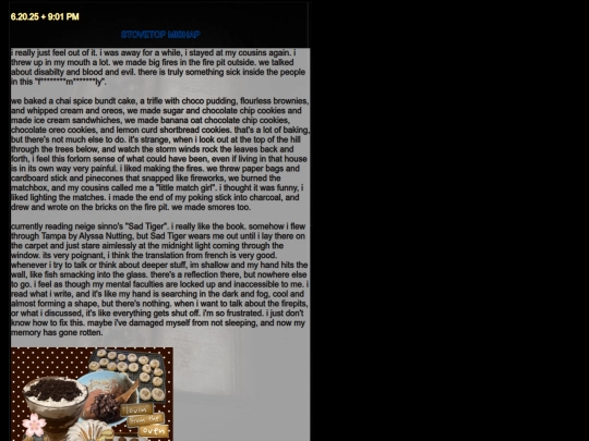 diarypagesjun25 screenshot