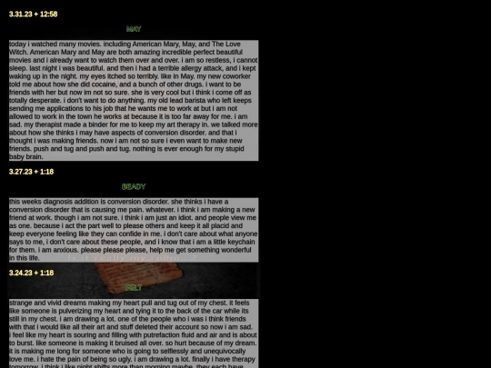 diarypagesmar screenshot