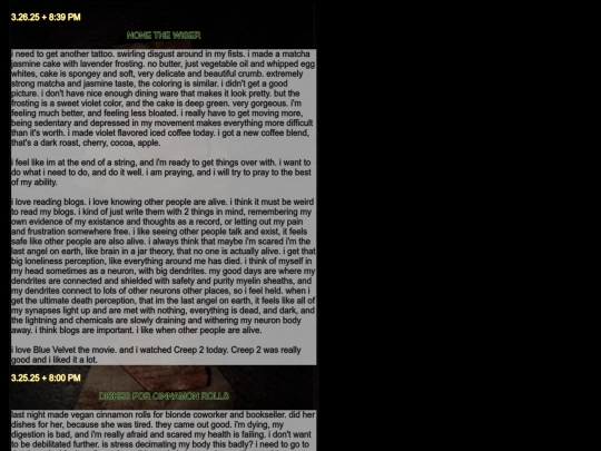 diarypagesmar25 screenshot