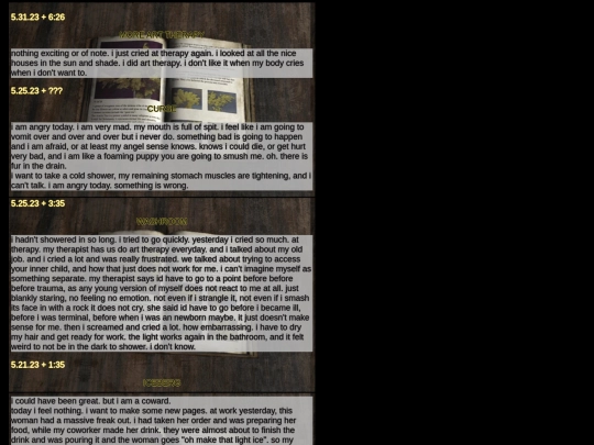 diarypagesmay screenshot