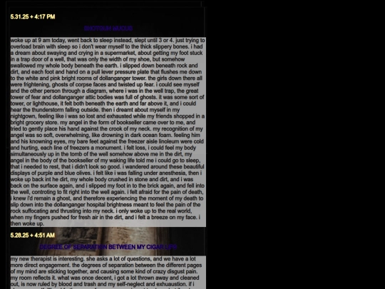diarypagesmay25 screenshot