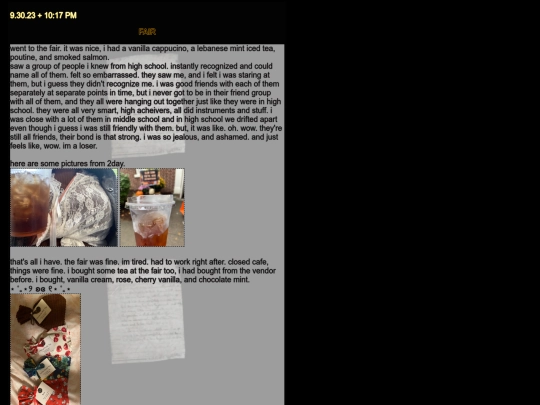 diarypagessept screenshot