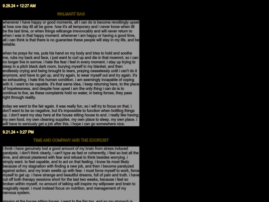 diarypagessept24 screenshot
