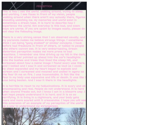 perception1 screenshot
