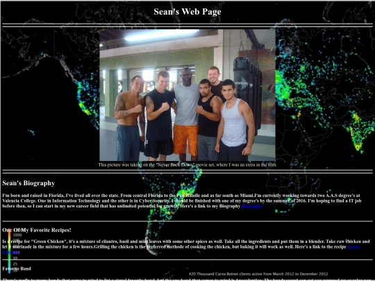 SeanIreland'sWebPage screenshot