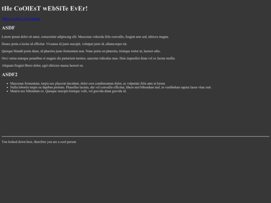 newwebsite screenshot