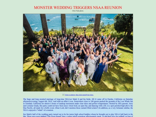 WedPage screenshot