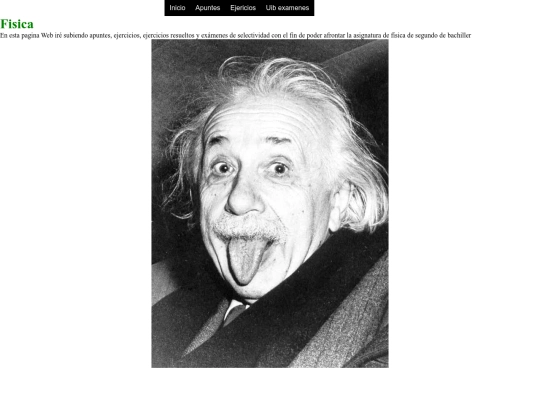 estudis/fisica/indicefisica screenshot
