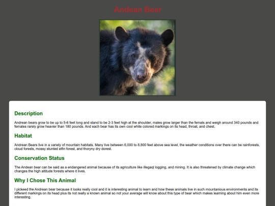 ZooProject/Andean Bear screenshot