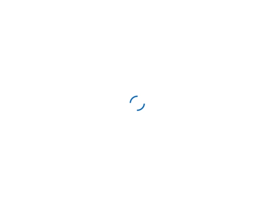 portfolio-details screenshot