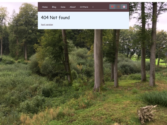 not_found screenshot